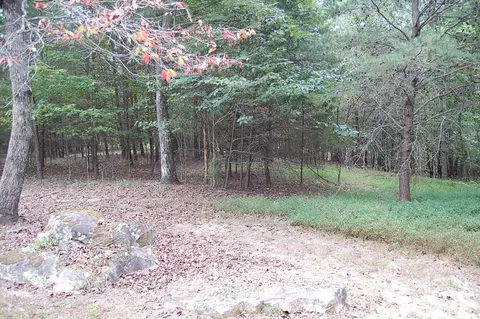 36 Bluff View Dr, Dunlap, TN 37327 photo 7