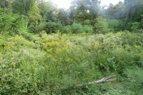 0 Watauga Rd, Cookeville, TN 38506