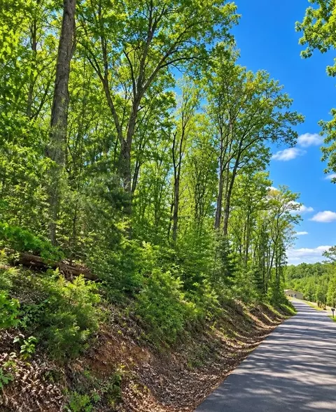 1 Trail Ln, Gray, TN 37615 photo 2