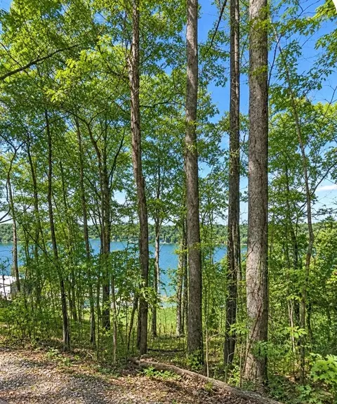 1 Trail Ln, Gray, TN 37615 photo 3