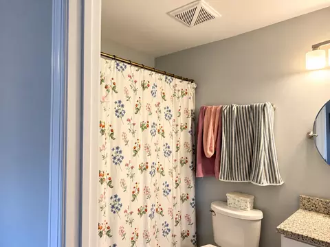 Bath - 1211 Collins Rd, Vanleer, TN 37181 photo 2 of 3