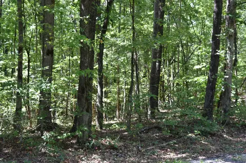 0 Lower Firetower Rd, Sequatchie, TN 37374 photo 3