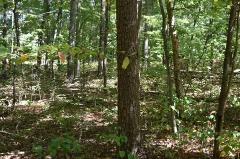 0 Lower Firetower Rd, Sequatchie, TN 37374 photo 10
