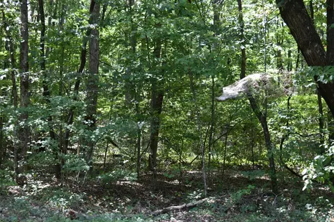 0 Lower Firetower Rd, Sequatchie, TN 37374 photo 4