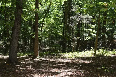 0 Lower Firetower Rd, Sequatchie, TN 37374 photo 9