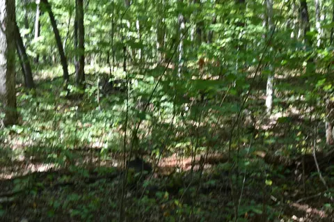 0 Lower Firetower Rd, Sequatchie, TN 37374 photo 5