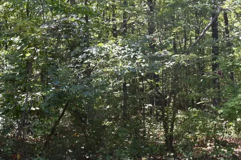 0 Lower Firetower Rd, Sequatchie, TN 37374 photo 11