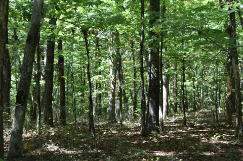 0 Lower Firetower Rd, Sequatchie, TN 37374 photo 8