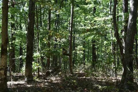 0 Lower Firetower Rd, Sequatchie, TN 37374 photo 7