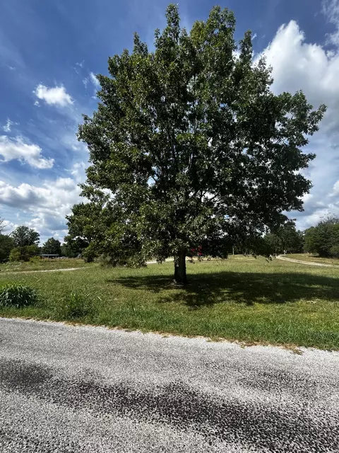 1171 Craig Moore Rd, Lewisburg, TN 37091