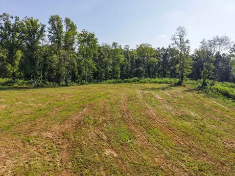0 Bear Ln, Loretto, TN 38469 photo 3