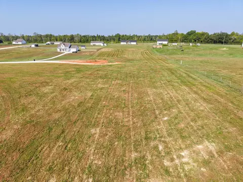 0 Bear Ln, Loretto, TN 38469 photo 6