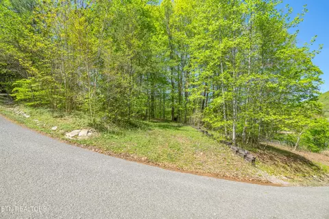 51 S Shorewood Dr, Caryville, TN 37714