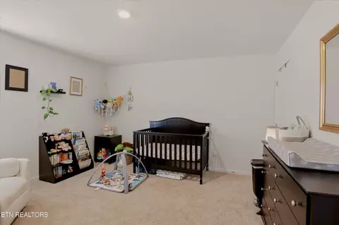 1248 Cole Dr, Talbott, TN 37877 photo 23