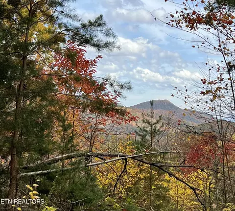 79 Long Rifle Rd, Walland, TN 37886