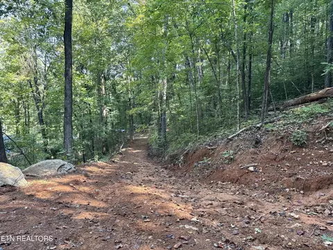 0 County Road 38, Riceville, TN 37370