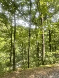 0 Meadow View Rd, Sevierville, TN 37862