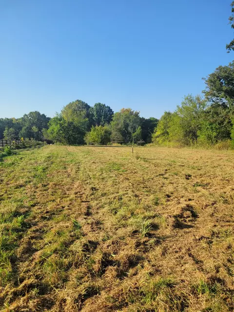 8 Double Branch Rd, Columbia, TN 38401