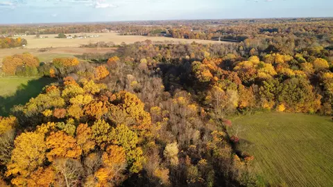 Other - 3941 Baggett Rd, Springfield, TN 37172 photo 8 of 16
