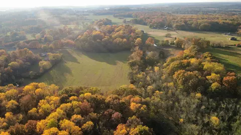 View/Area - 3941 Baggett Rd, Springfield, TN 37172 photo 1 of 9