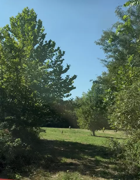 Other - 3941 Baggett Rd, Springfield, TN 37172 photo 16 of 16
