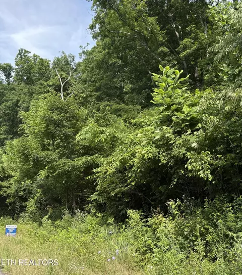 5787 Highway 297, Pioneer, TN 37847