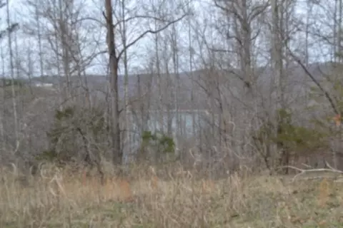 0 Fox Hill Rd, Baxter, TN 38544 photo 8