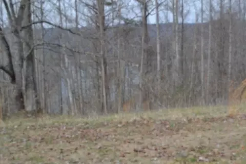 0 Fox Hill Rd, Baxter, TN 38544 photo 18