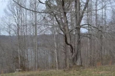 0 Fox Hill Rd, Baxter, TN 38544 photo 25