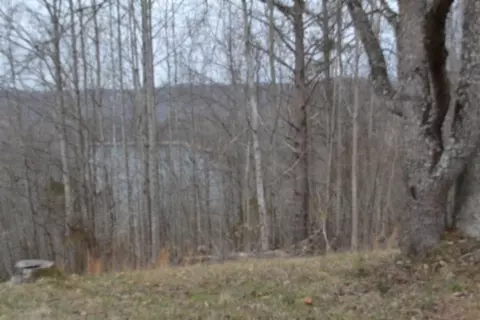0 Fox Hill Rd, Baxter, TN 38544 photo 14