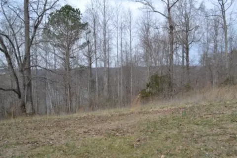 0 Fox Hill Rd, Baxter, TN 38544 photo 23
