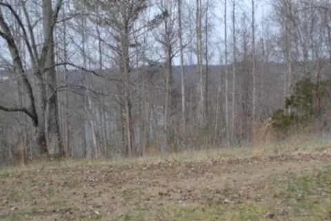 0 Fox Hill Rd, Baxter, TN 38544 photo 19