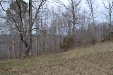 0 Fox Hill Rd, Baxter, TN 38544 photo 9