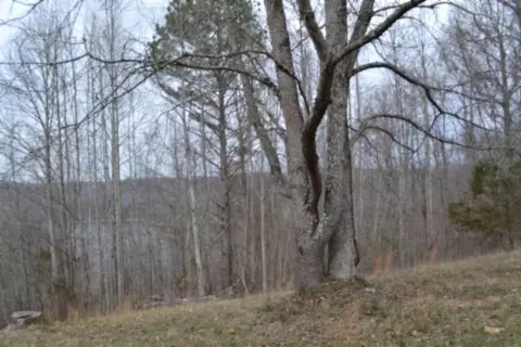 0 Fox Hill Rd, Baxter, TN 38544 photo 12