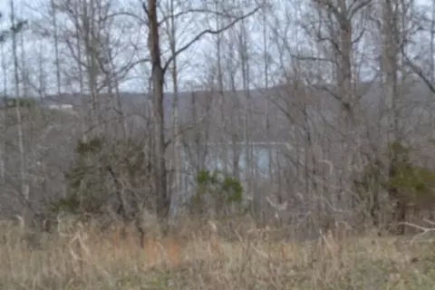 0 Fox Hill Rd, Baxter, TN 38544 photo 7