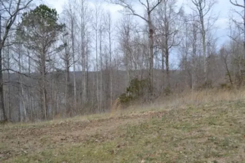 0 Fox Hill Rd, Baxter, TN 38544 photo 22
