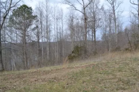 0 Fox Hill Rd, Baxter, TN 38544 photo 21