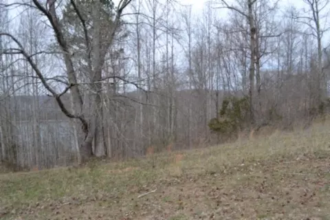 0 Fox Hill Rd, Baxter, TN 38544 photo 11