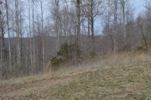 0 Fox Hill Rd, Baxter, TN 38544 photo 20