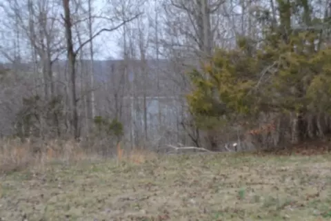 0 Fox Hill Rd, Baxter, TN 38544 photo 4
