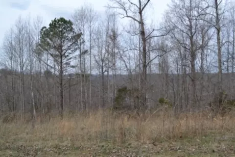 0 Fox Hill Rd, Baxter, TN 38544 photo 6