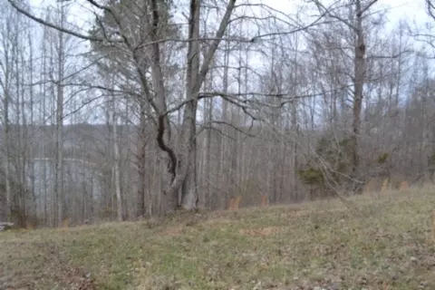 0 Fox Hill Rd, Baxter, TN 38544 photo 17