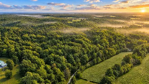0 Dog Creek Rd, Primm Springs, TN 38476