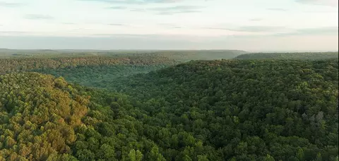0 Wagnon Mountain Rd, Tuscumbia, AL 35674