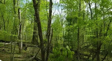 0 Street Place Loop, Monterey, TN 38574