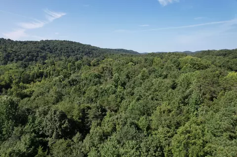 121 Frank Reed Rd, Spring City, TN 37381