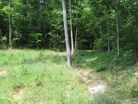 1613 Red Bank Creek Rd, Lobelville, TN 37097