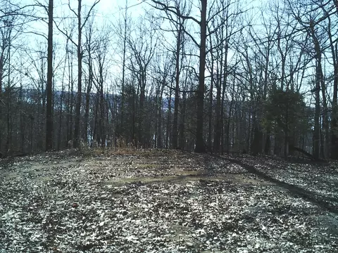 0 Eaglet Ct, Dover, TN 37058 photo 3