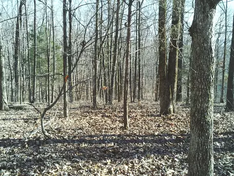 0 Eaglet Ct, Dover, TN 37058 photo 2