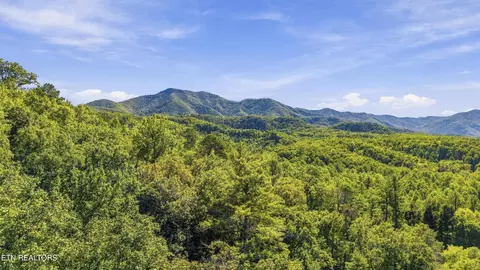 910 Windy Hill Way, Cosby, TN 37722